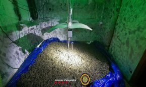 Els Mossos d'Esquadra i la Policia Local de Vandellòs i l'Hospitalet de l'Infant desmantellen una plantació i intervenen prop de 40 kg de cabdells de marihuana