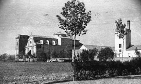 Aspecte d'un detall del barri de l'Eixample amb el passeig en primer terme / Novembre 1955