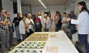 La Torre del Llimó acull un taller sobre l'oli d'oliva amb degustació inclosa