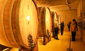 Les Vinyes del Convent, el celler d'Horta de Sant Joan que acompanya els menús de les Jornades dels Fideus Rossos