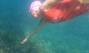 Acció Climàtica completa la prospecció del 70% de la superfície del fons marí, de Portbou a l'Ampolla