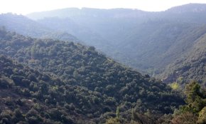 La Generalitat impulsa la consulta prèvia per a la creació del nou Parc Natural de la Serra de Prades