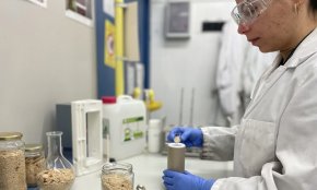 La URV lidera un projecte per produir biocombustibles, fertilitzants i sensors a partir de biomassa