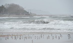 Protecció Civil activa l'alerta per fort onatge a tota la costa catalana