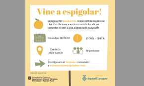 La Fundació Espigoladors programa una nova espigolada de mandarines, el proper divendres, en una finca de Cambrils