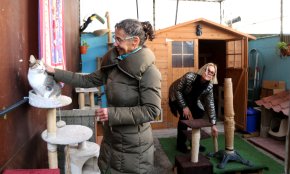 Salou obre un centre de recuperació per a les colònies de gats ferals esterilitzats