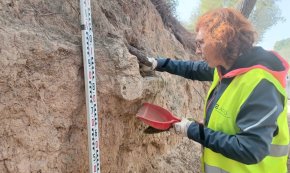 Apareixen noves restes arqueològiques d'època romana al traçat de l'antiga Via Augusta, a Vilafortuny