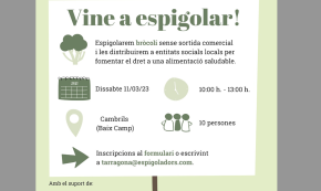 La Fundació Espigoladors programa una nova espigolada de bròquil, demà, en una finca de Cambrils
