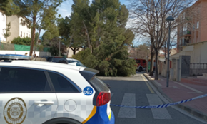 La caiguda d'un pi al barri de Nou Cambrils per la ventada provoca una fuita de gas 