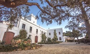 La visita amb tast de vins «Miró i el vi» i l'espectacle de titelles «Senyor Joan, Monsieur Miró», grans novetats de la programació del Mas Miró de Mont-roig