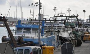 S'engega l'activitat pesquera després de dos mesos de veda
