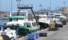 Les barques d'arrossegament comencen el període de veda