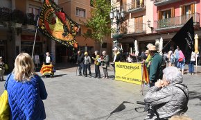 Àvies i Avis; eleccions, roses i llibres