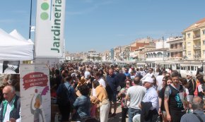 Cambrils viu un Sant Jordi espectacular (Conté galeria fotogràfica)