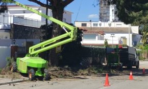 L'Ajuntament preveu la reposició i plantació d'una quarantena d'arbres en diferents zones del municipi    