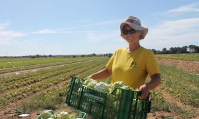 Espigoladors: l'art de l'aprofitament alimentari