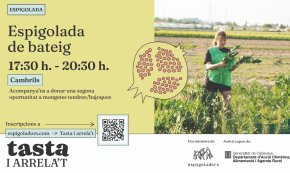 Espigolada de bateig aquest diumenge a Cambrils