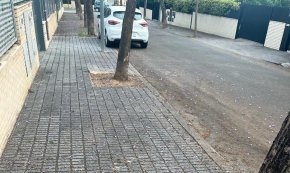 Els veïns d'un carrer de Vilafortuny es queixen de la brutícia que genera la resina dels arbres