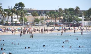 Es posa en marxa la campanya «Platges vives» per protegir l'ecosistema marí