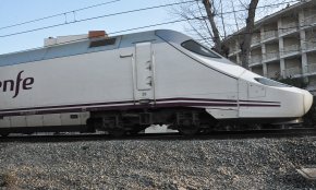 Un tren Euromed atropella un ramat d'ovelles a l'alçada de Mont-roig del Camp