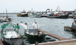 L'Estat fa marxa enrere i la veda de la pesca d'encerclament s'allargarà només un mes