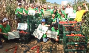 L’espigolada simultània a tot Catalunya destina una part dels productes a Creu Roja Cambrils