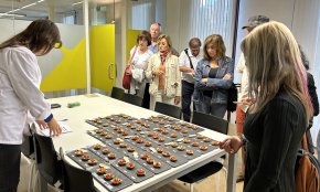 En pastisseria i fregits: els beneficis d'utilitzar l'oli d'oliva verge extra a la cuina