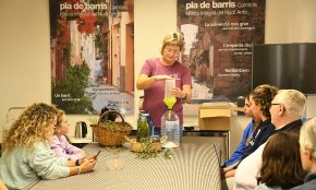 Infusions de fulles d'olivera i olives en conserva, aplicacions pràctiques de l'aprofitament de l'olivera