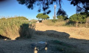 Comença la neteja del tram final de la riera de Maspujols