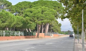 L'inici de les obres de l'avinguda de Charles Darwin, previst per a meitats de setembre