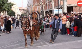 L'actuació de Paz Padilla i la celebració dels Tres Tombs, plats forts de les festes de Sant Antoni d'enguany