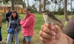 El Parc Samà acull diverses activitats de la primera Festa dels Falciots