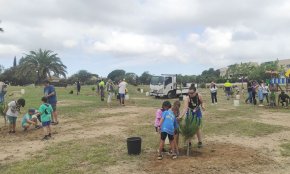 Es planten 18 pins pinyoners al parc de Mas Clariana en una nova jornada de voluntariat ambiental