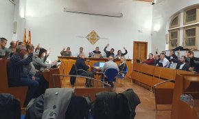El Consell Comarcal del Baix Camp prorroga el pressupost de l'any passat