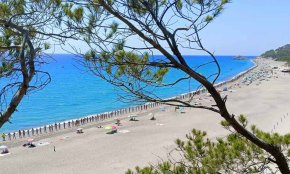 Més de 700 persones participen en una cadena nudista a la platja del Torn de l'Hospitalet de l'Infant