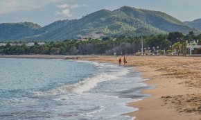 El possible cocodril de la platja de l'Arenal de l'Hospitalet de l'Infant era una rajada comú