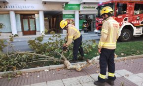 Un camió impacta contra una gran branca d'un plataner, a l'Eixample