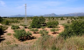 Nou pas endavant a Mont-roig per impulsar el projecte de Lotte