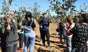 L'art i l'entorn agrari es donen la mà en una nova edició del festival Partides