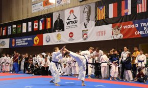 Cambrils es converteix en la capital del món del Karate-Do Tradicional (Conté galeria fotogràfica)