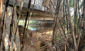 Els veïns del Molí de la Torre, indignats per l'estat de la riera de Maspujols: «Estem avisant que això és un perill»