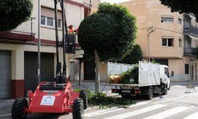 El departament de Medi Ambient inicia la campanya de poda de l'arbrat viari