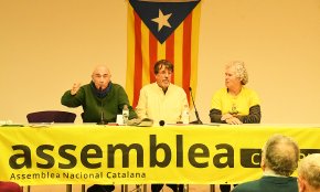 Lluís Llach, president de l'ANC: «No es tracta només de lluitar per la independència, es tracta de lluitar per la supervivència»