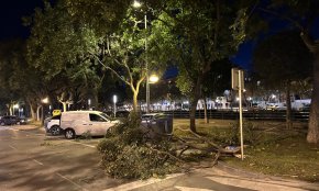 El temporal de vent provoca caiguda d’arbres i fanals i el desplaçament de contenidors