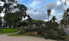 El temporal afecta les reserves turístiques del Pont de la Puríssima
