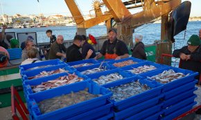 El conseller de Pesca, Òscar Ordeig, afirma que es pot augmentar la xifra actual de dies de pesca al Mediterrani