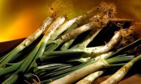 Comencen les primeres activitats per celebrar el reconeixement de Catalunya com a Regió Mundial de la Gastronomia