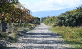 La Generalitat treu a licitació les primeres obres del tramvia que connectarà Cambrils amb Salou i Vila-seca