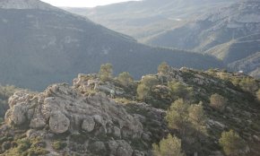 L'11a edició de la «Cursa 4 Termes» recorrerà diversos municipis del Baix Camp, el 9 de febrer, amb 1.500 inscrits