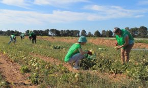 Espigoladors presenta a Reus el projecte SOULFOOD, una eina digital per reduir el malbaratament alimentari